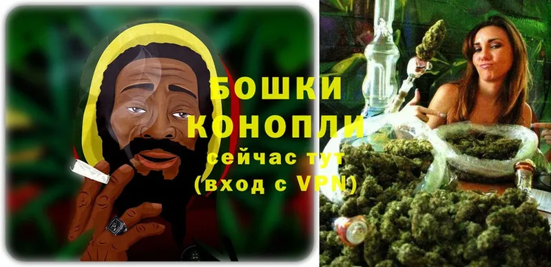 кракен ТОР  Мурино  Бошки марихуана THC 21%  купить наркоту 